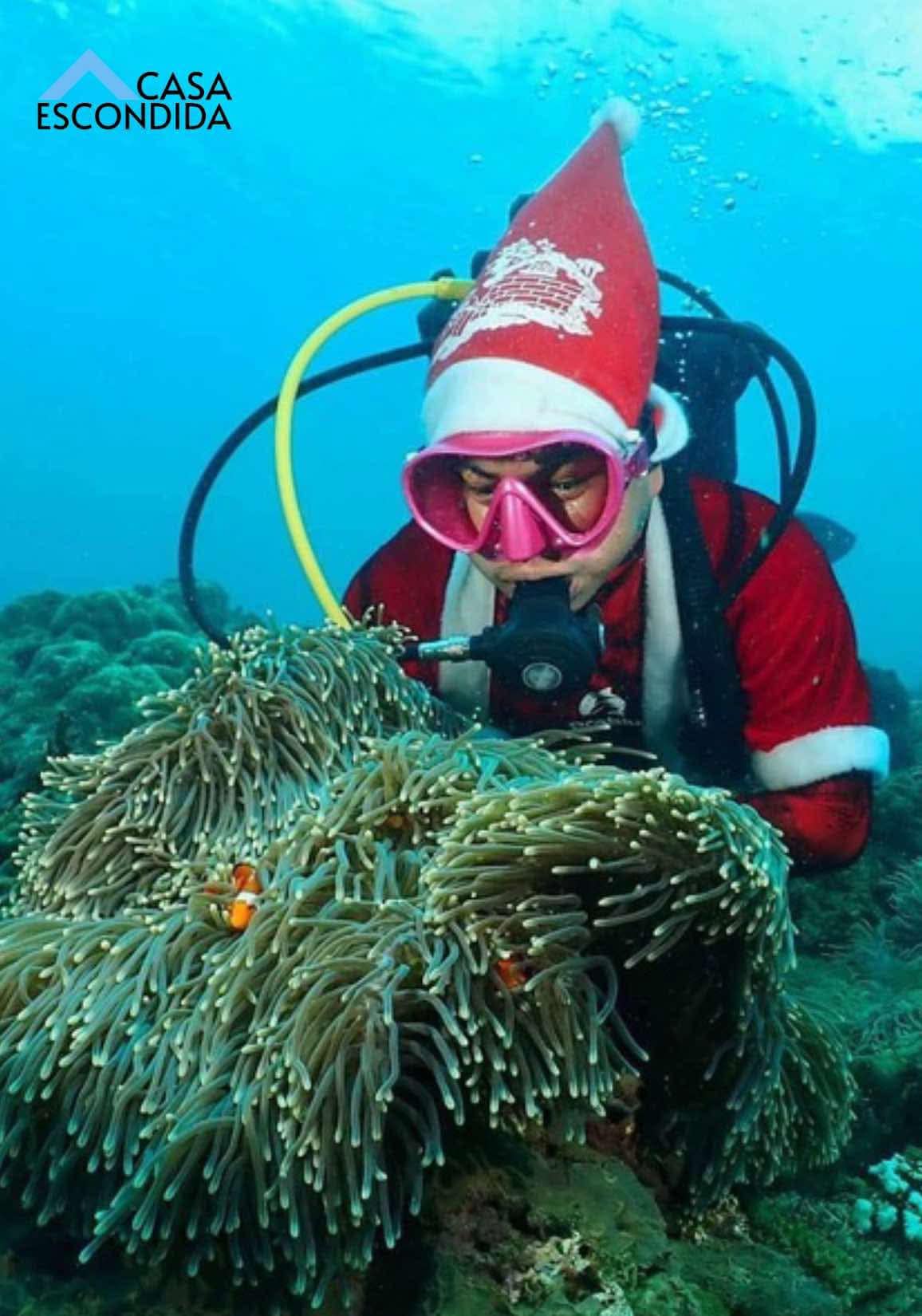 Your PADI Open Water Course at Casa Escondida: What to Expect