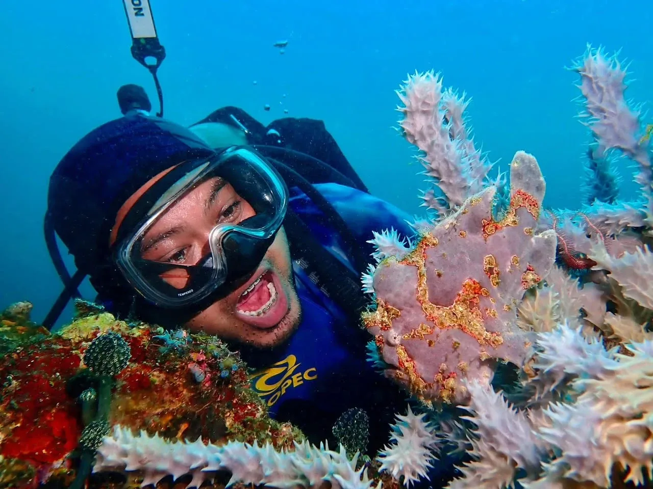 Diver beside a frogfish on the Anilao reef