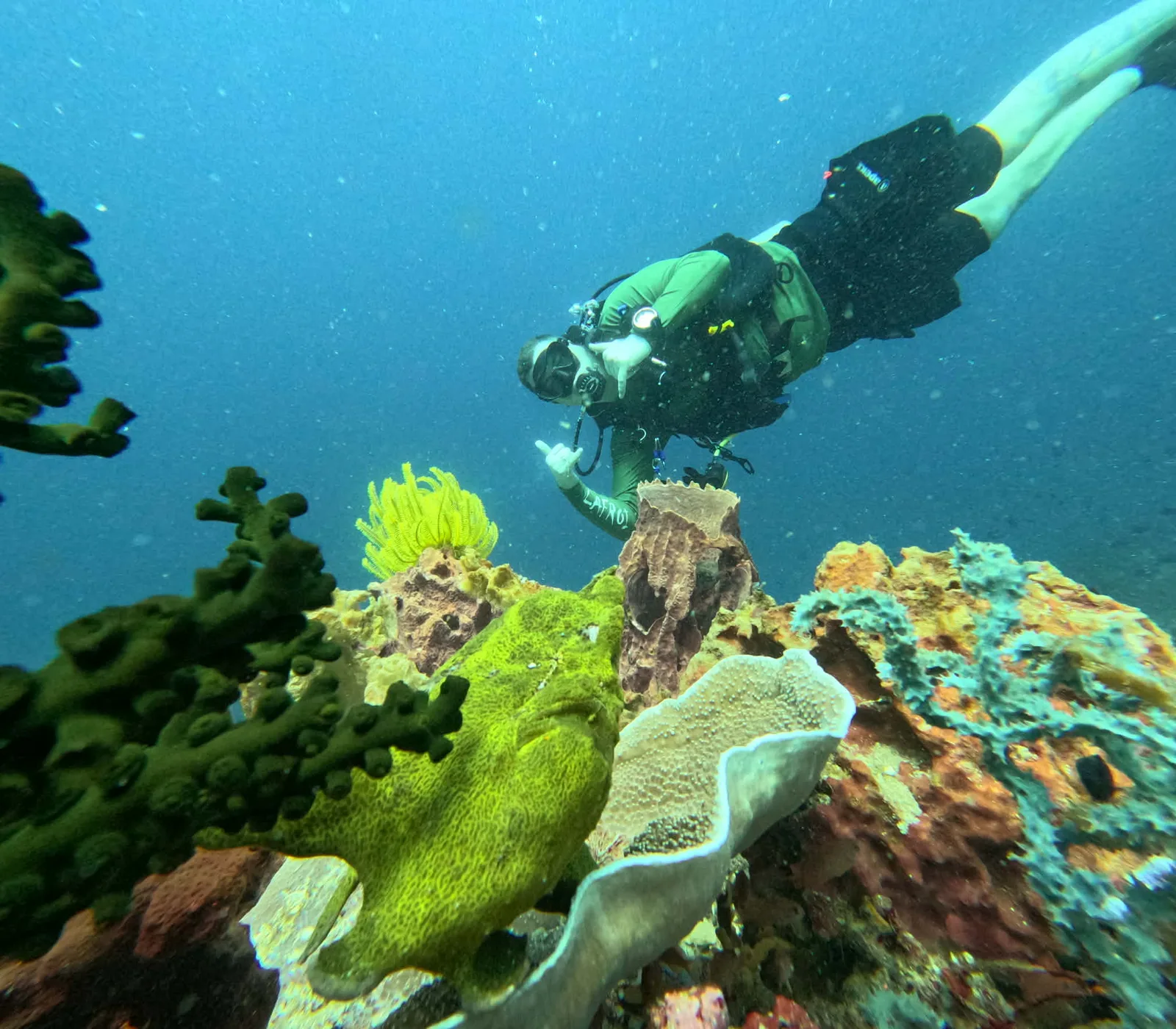 Jomel diving a coral reef in Anilao
