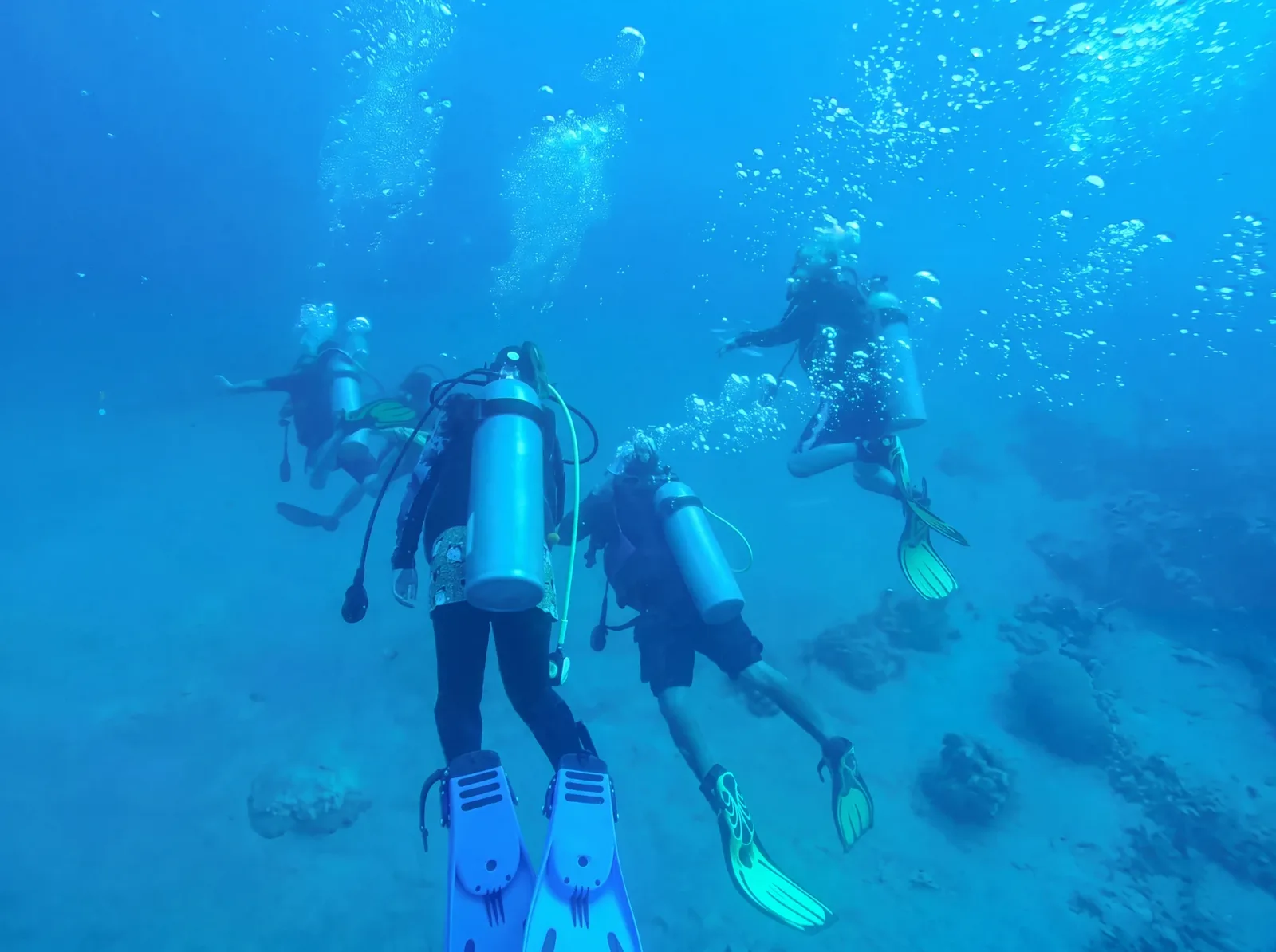 Divers gliding over the reef in Anilao