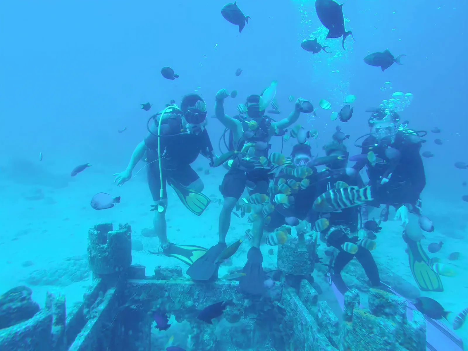 Divers among a swirl of fish at an Anilao dive site